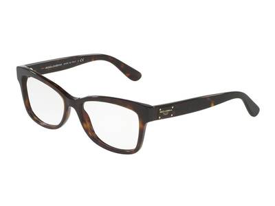 Dolce & Gabbana DG3254 502