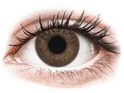 TopVue Color - Brown - Lente me Ngjyre & Optike (2 lente) - Coloured contact lenses