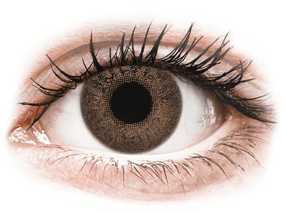 TopVue Color - Brown - Lente me Ngjyre & Optike (2 lente) - Coloured contact lenses