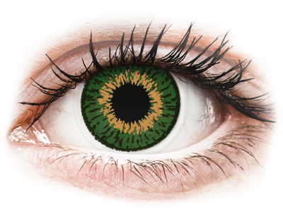 Expressions Colors Green - Lente me Ngjyre & Optike (1 lente)