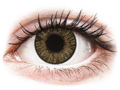 FreshLook ColorBlends Pure Hazel - Lente me Ngjyre