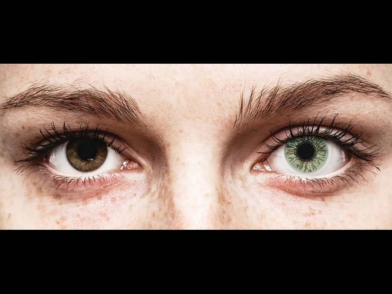 FreshLook Colors Green - Lente me Ngjyre & Optike (2 lente)