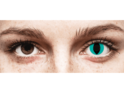 CRAZY LENS - Cat Eye Aqua - Lente kozmetike ditore (2 lente)