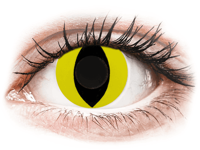 CRAZY LENS - Cat Eye Yellow - Lente kozmetike ditore (2 lente) - Coloured contact lenses