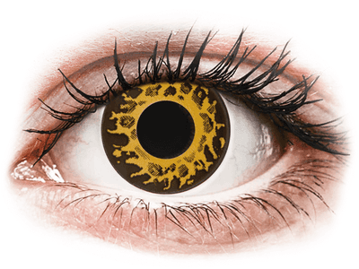 CRAZY LENS - Cheetah - Lente kozmetike ditore (2 lente) - Coloured contact lenses