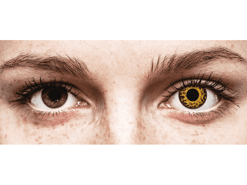 CRAZY LENS - Cheetah - Lente kozmetike ditore (2 lente)