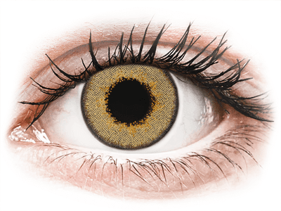 TopVue Daily Color - Brown - Lente optike ditore (2 lente) - Coloured contact lenses