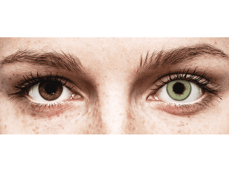TopVue Daily Color - Green - Lente kozmetike ditore (2 lente) thumbnail 2