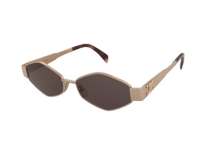 Celine CL40254U 28A